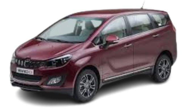 Untitled design (79)