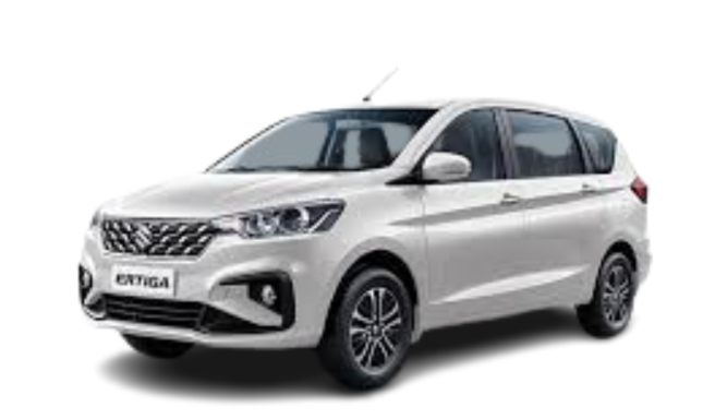 Untitled design (81)